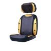 Massage-Cushion-1 Massage-Cushion-1